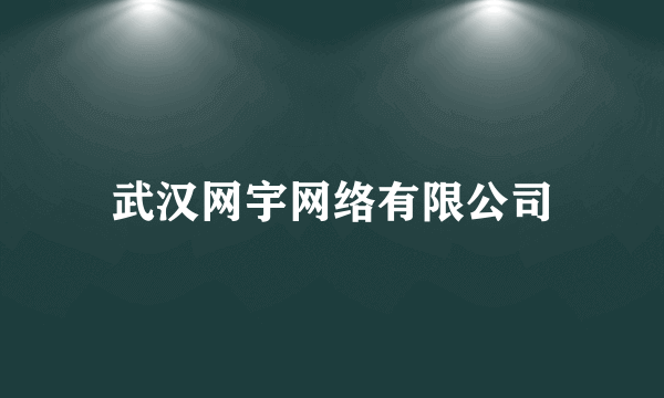 武汉网宇网络有限公司