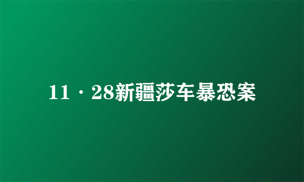 11·28新疆莎车暴恐案