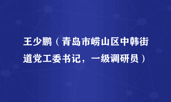 王少鹏（青岛市崂山区中韩街道党工委书记，一级调研员）