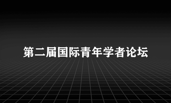 第二届国际青年学者论坛