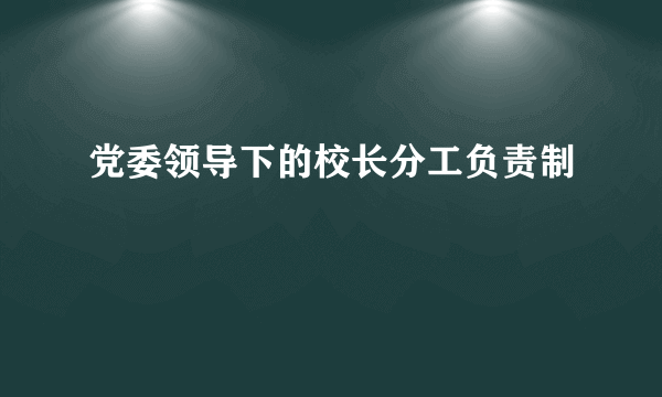 党委领导下的校长分工负责制