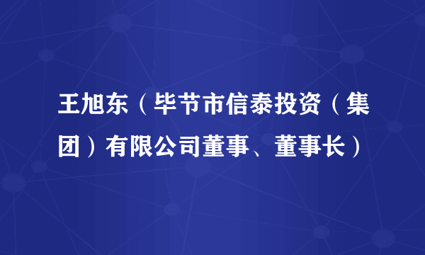 王旭东（毕节市信泰投资（集团）有限公司董事、董事长）