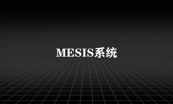 MESIS系统