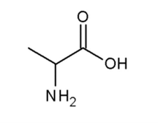 α-氨基丙酸