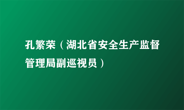 孔繁荣（湖北省安全生产监督管理局副巡视员）