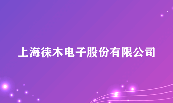 上海徕木电子股份有限公司