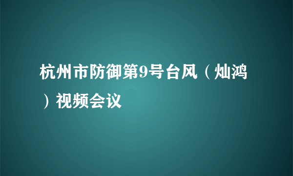 杭州市防御第9号台风（灿鸿）视频会议