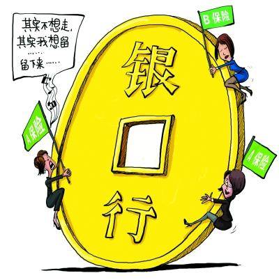 银行保险（2006年中国金融出版社出版的图书）