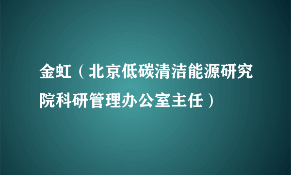 金虹（北京低碳清洁能源研究院科研管理办公室主任）