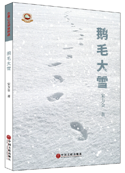 鹅毛大雪（2017年中国文联出版社出版的图书）