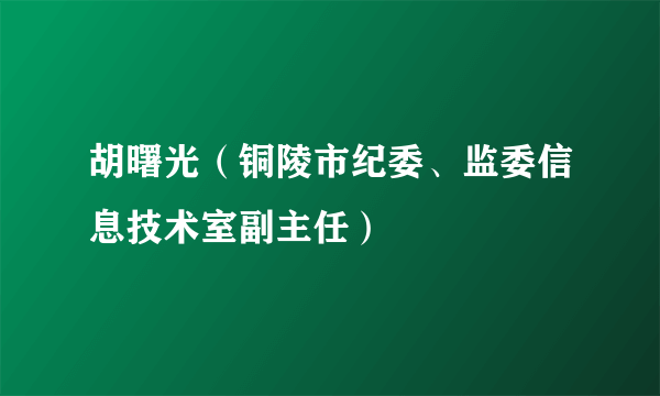 胡曙光（铜陵市纪委、监委信息技术室副主任）