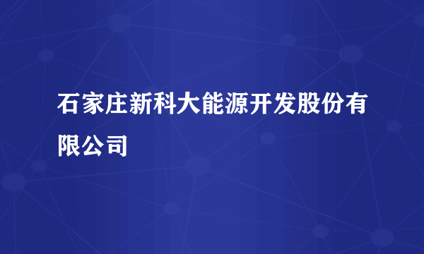 石家庄新科大能源开发股份有限公司