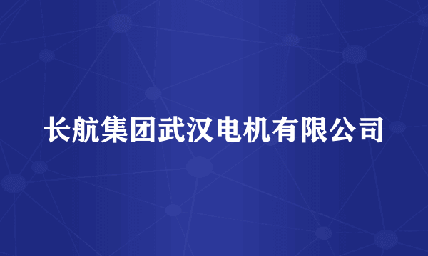 长航集团武汉电机有限公司