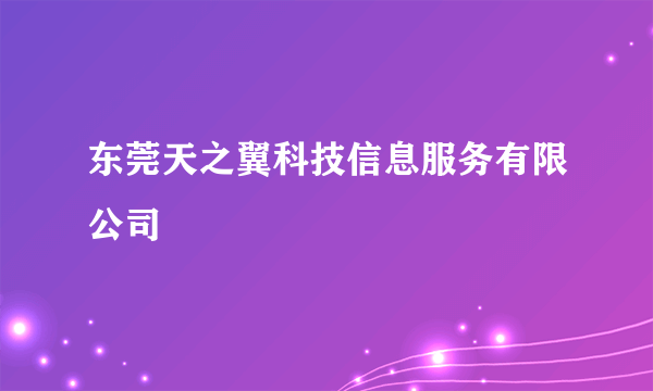 东莞天之翼科技信息服务有限公司