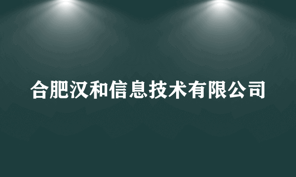 合肥汉和信息技术有限公司