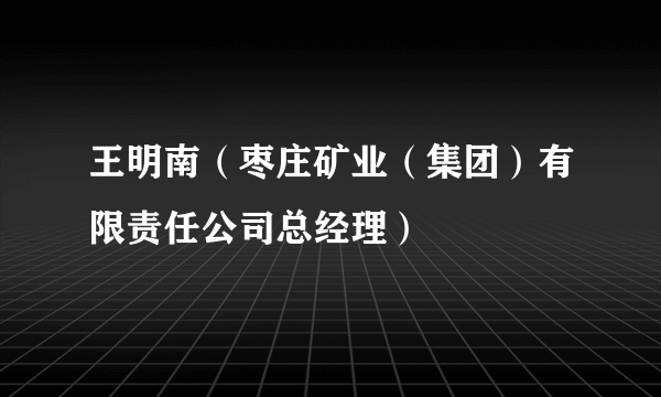 王明南（枣庄矿业（集团）有限责任公司总经理）