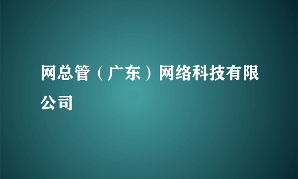 网总管（广东）网络科技有限公司