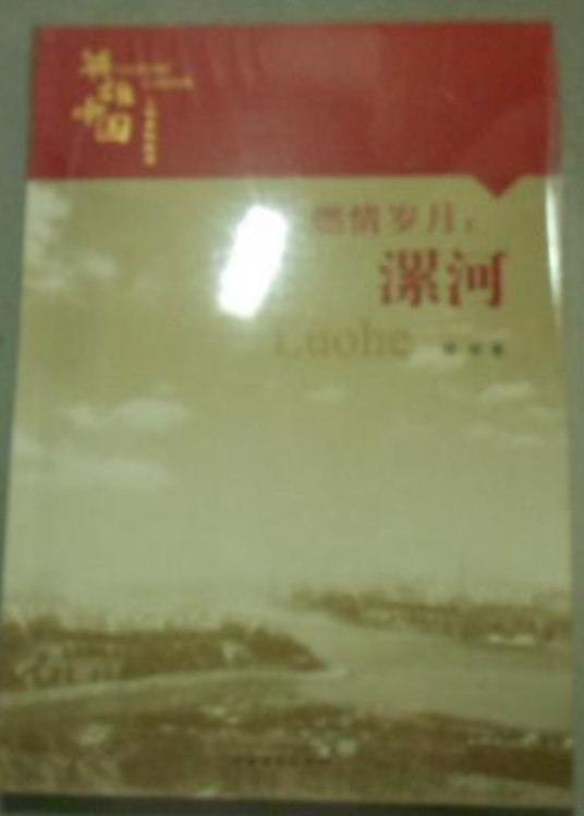 燃情岁月（2008年中国青年出版社出版的图书）