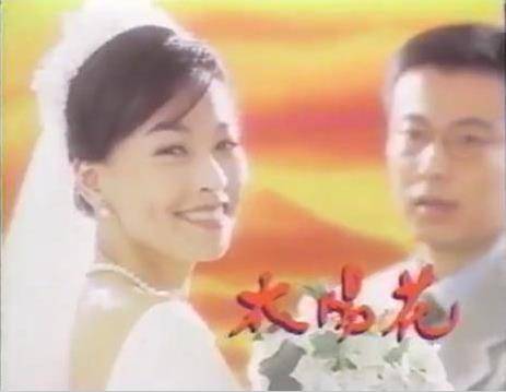 太阳花（1998年张庭主演台湾中视电视剧）