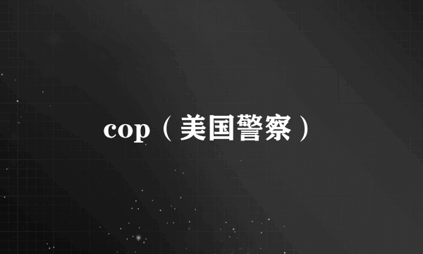 cop（美国警察）