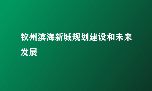 钦州滨海新城规划建设和未来发展