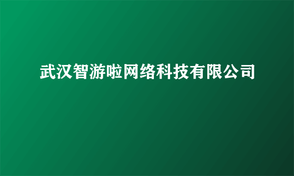 武汉智游啦网络科技有限公司