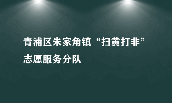 青浦区朱家角镇“扫黄打非”志愿服务分队