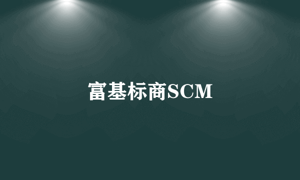 富基标商SCM