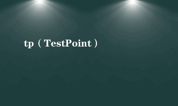 tp（TestPoint）