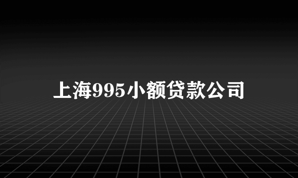 上海995小额贷款公司