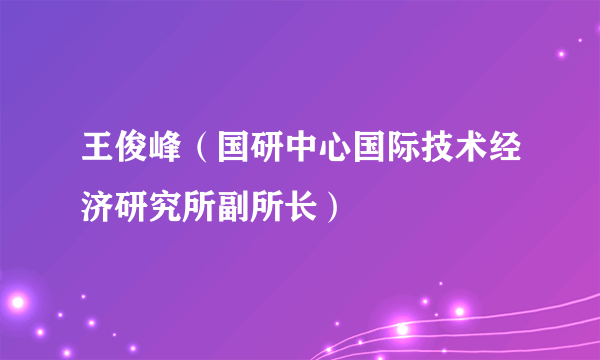 王俊峰（国研中心国际技术经济研究所副所长）