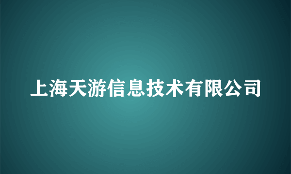 上海天游信息技术有限公司