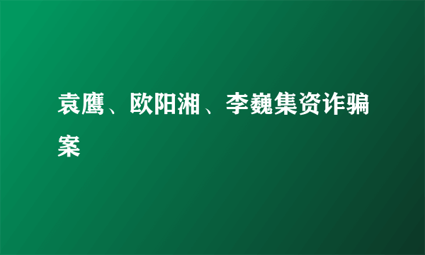 袁鹰、欧阳湘、李巍集资诈骗案