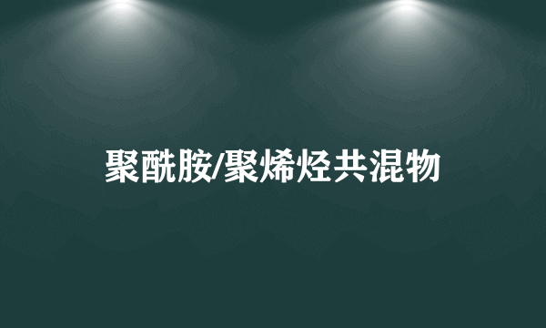 聚酰胺/聚烯烃共混物