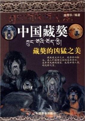 中国藏獒：藏獒的凶猛之美