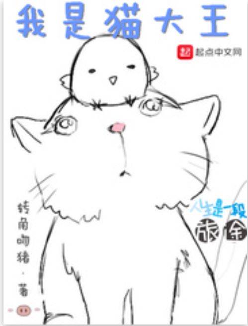 我是猫大王