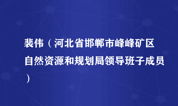 裴伟（河北省邯郸市峰峰矿区自然资源和规划局领导班子成员）