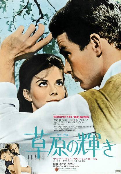 天涯何处无芳草（1961年美国伊莱亚凯赞执导电影）