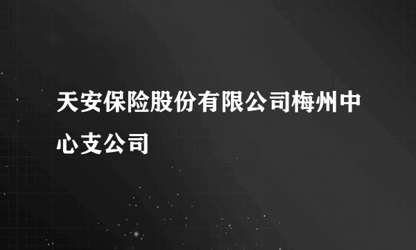 天安保险股份有限公司梅州中心支公司