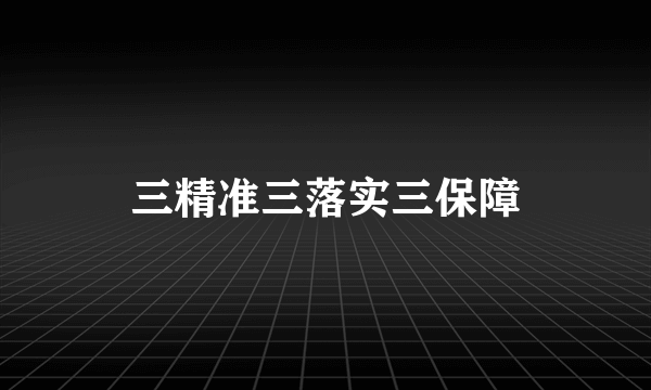 三精准三落实三保障