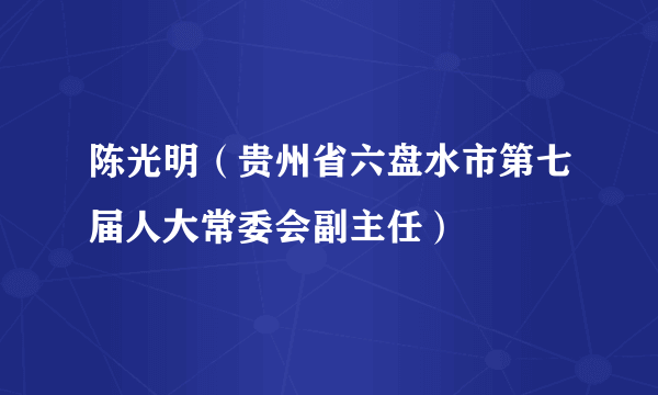 陈光明（贵州省六盘水市第七届人大常委会副主任）