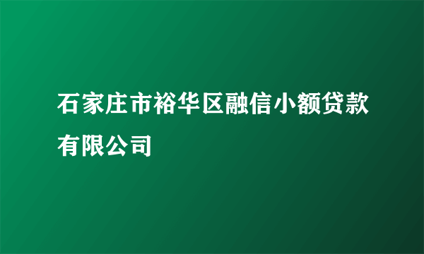 石家庄市裕华区融信小额贷款有限公司