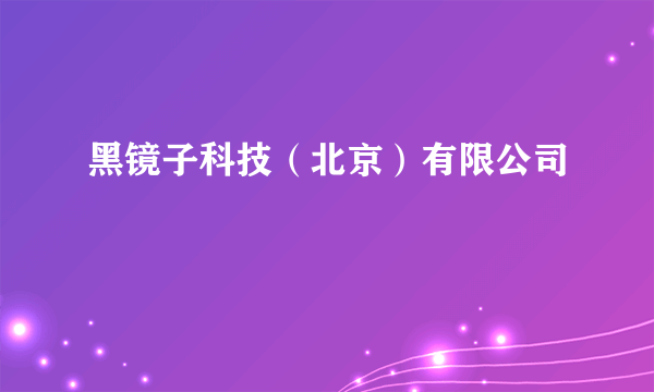 黑镜子科技（北京）有限公司