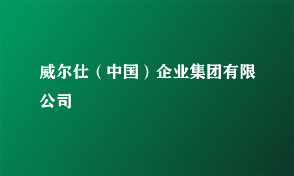 威尔仕（中国）企业集团有限公司