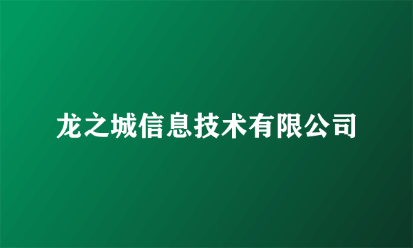 龙之城信息技术有限公司