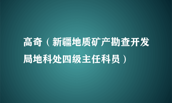 高奇（新疆地质矿产勘查开发局地科处四级主任科员）