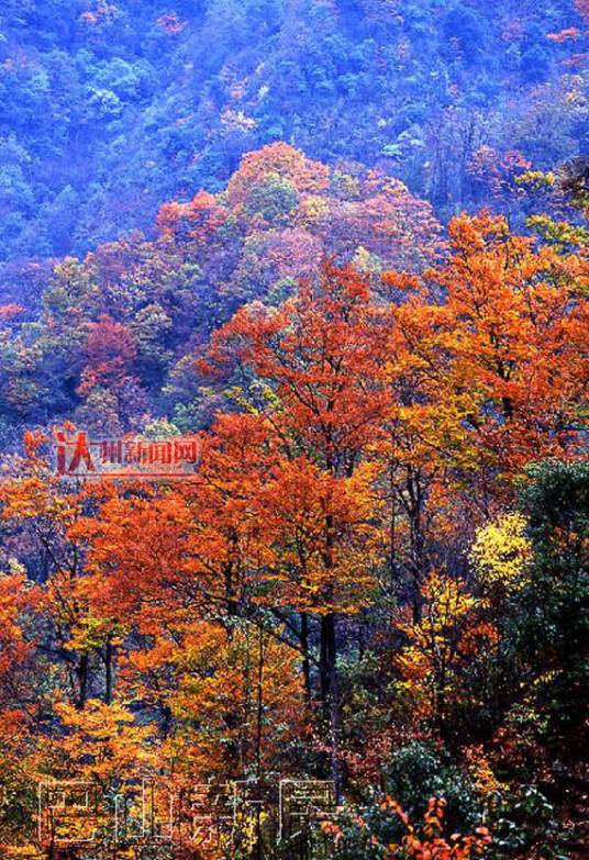 鱼泉山风景区