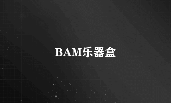 BAM乐器盒