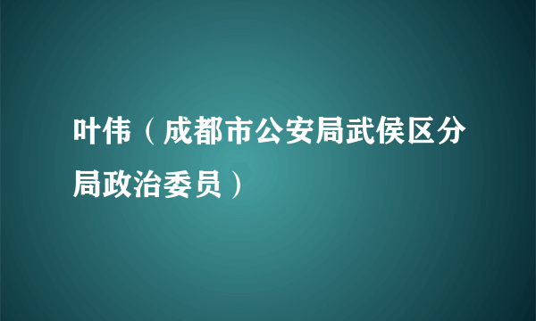 叶伟（成都市公安局武侯区分局政治委员）