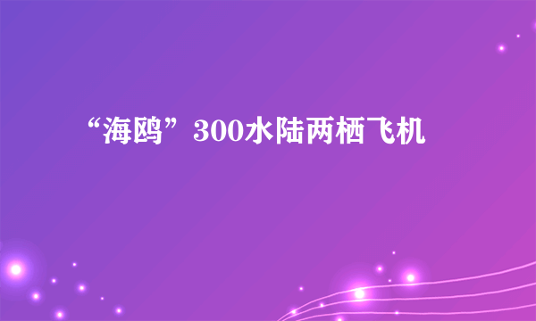 “海鸥”300水陆两栖飞机